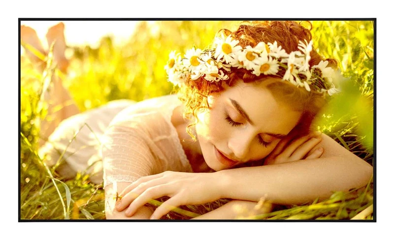LG Display Segnaletica Digitale 65UL5Q-E 65" 4K UHD 500 cd/m² WebOS 24/7