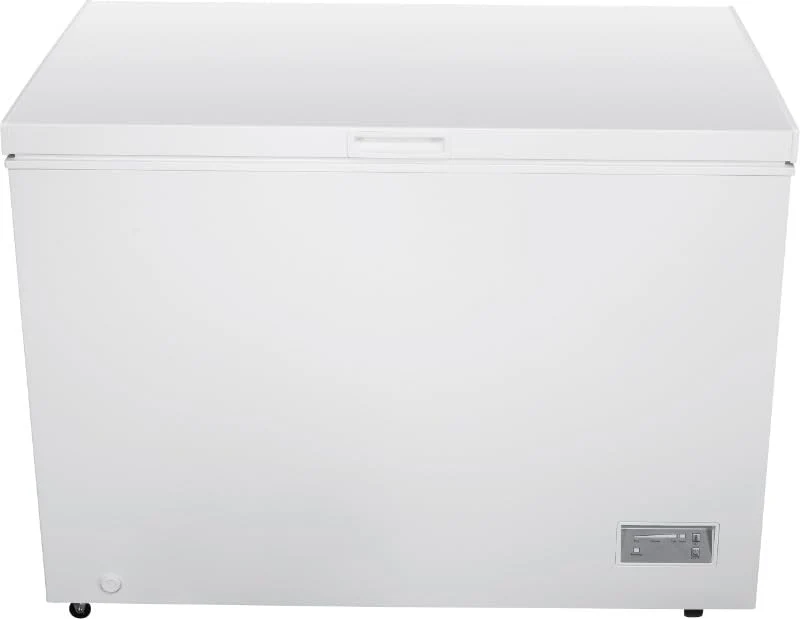Beko Congelatore a Pozzetto CF316EIWN 308 L Classe E Statico Bianco