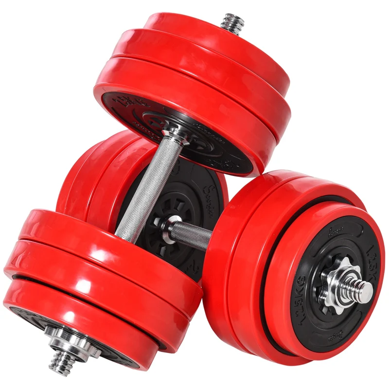 Easycomfort Set 2 in 1 Bilanciere e Manubri Pesi da 30kg, Dischi con Rivestimento in Plastica Antigraffio, Rosso e Nero